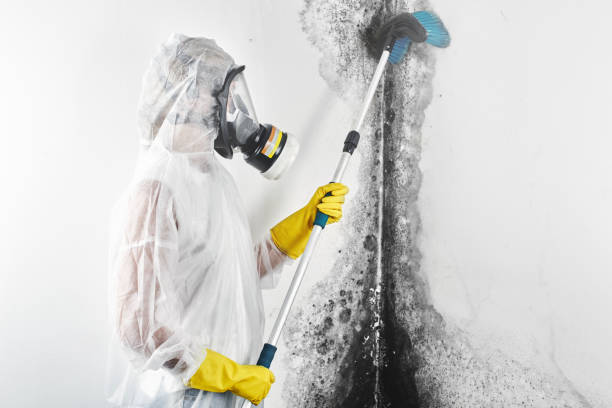 Mold Removal for HVAC Installations in The Village, OK