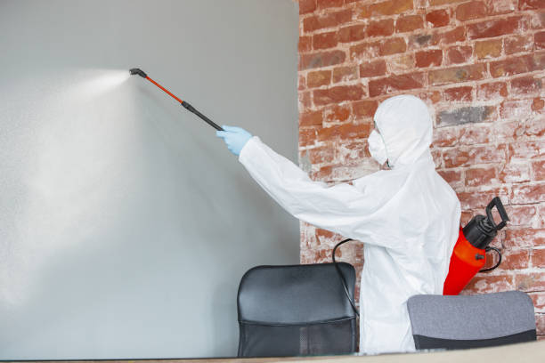 Best Water Damage & Mold Remediation  in The Village, OK
